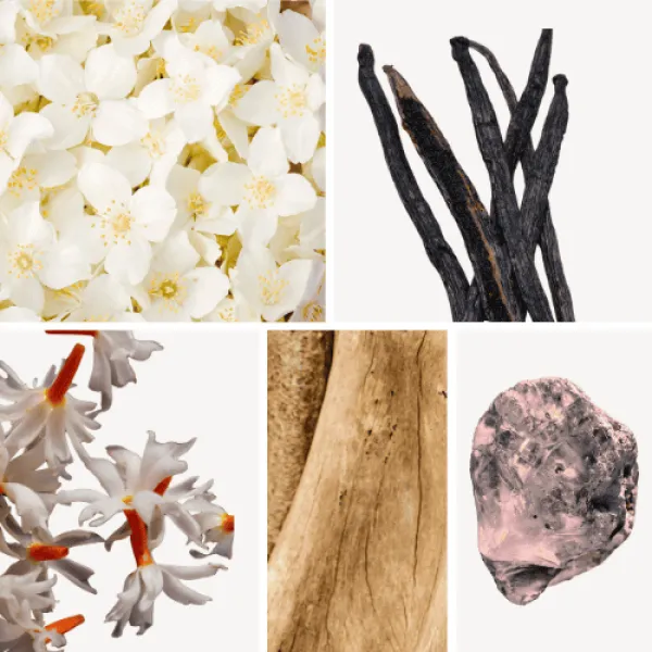 Duftnoten: Sandelholz, Ambrox (Ambra), Vanille, Jasmin, Jasmin Arabisch Duftnoten: Sandelholz, Ambrox (Ambra), Vanille, Jasmin, Jasmin Arabisch